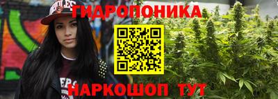 шишки Можайск