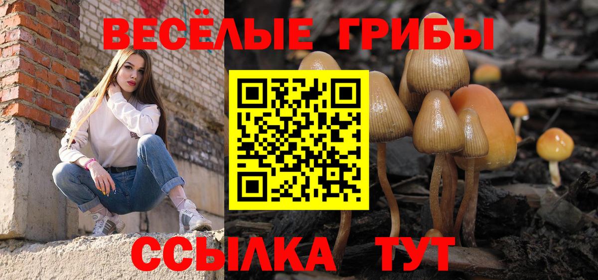 Псилоцибиновые грибы Psilocybe  Вход с VPN  Усинск 